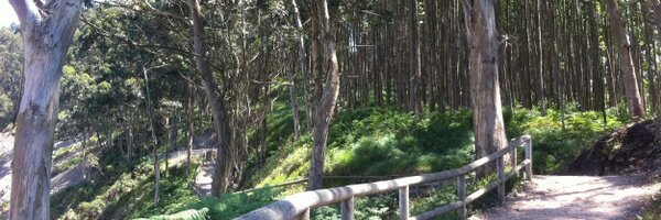 Andreitakas Profile Banner