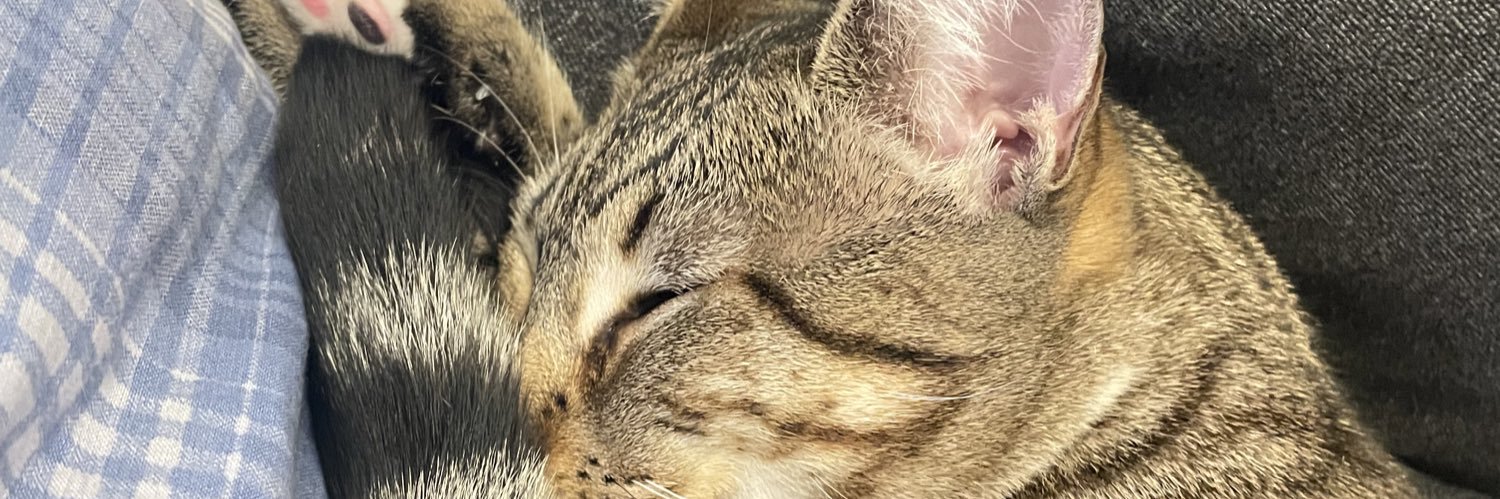 allison_g7's profile banner image