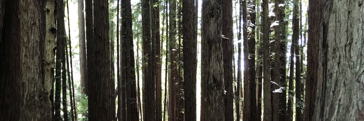 madiskend's profile banner image