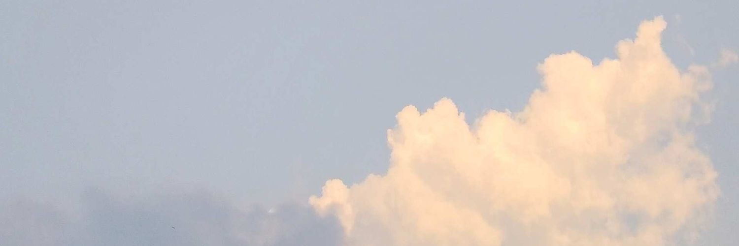 pancigratis's profile banner image