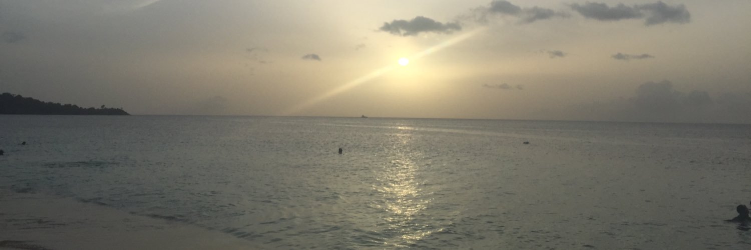 simpson_morna's profile banner image