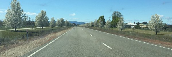 IreneM_A Profile Banner