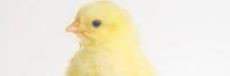 ScheferLucas's profile banner image