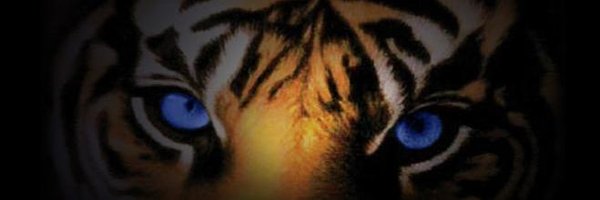 TNSTcompliance Profile Banner