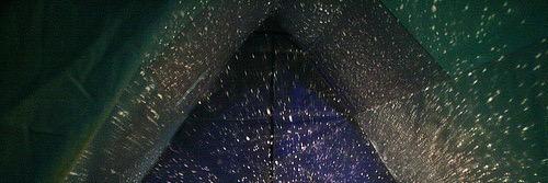 Jenna Mcdonalds. banner