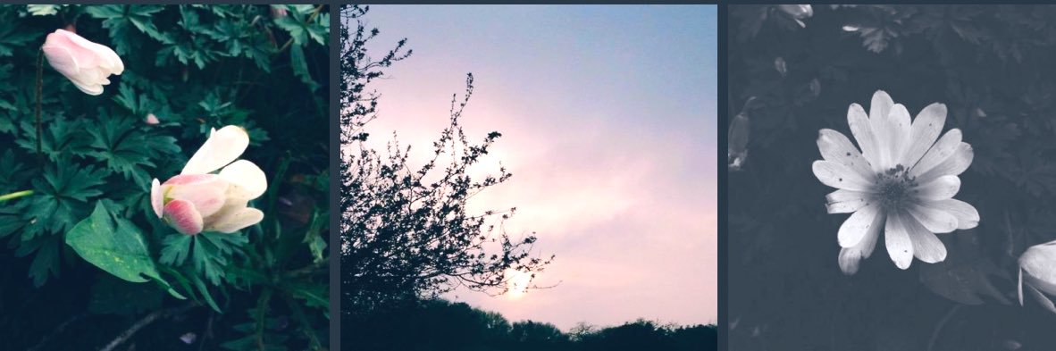 dianaaaadgaf's profile banner image
