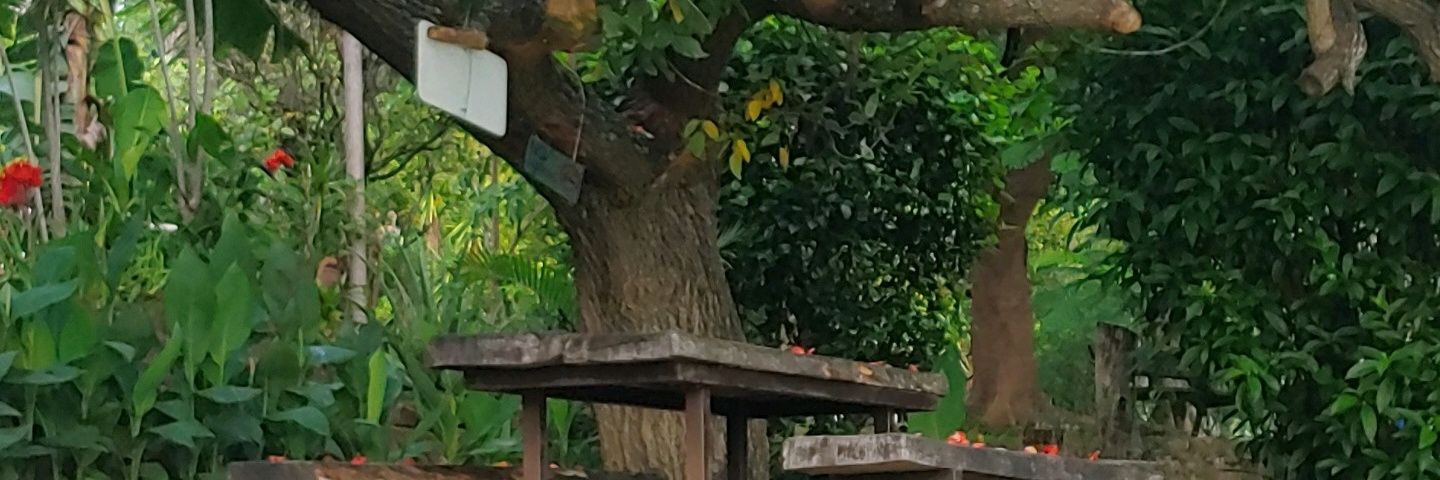 Wolfred85's profile banner image
