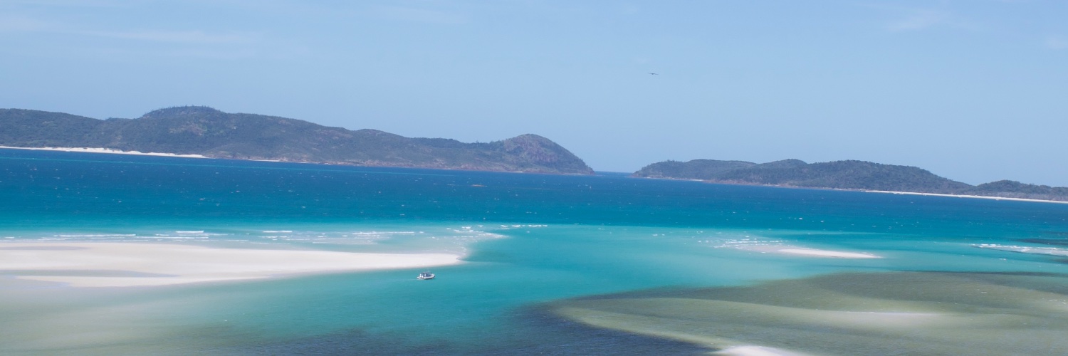 this website is bad banner