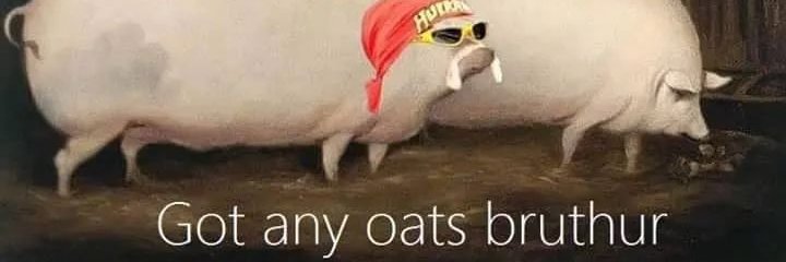 dylanwutf's profile banner image