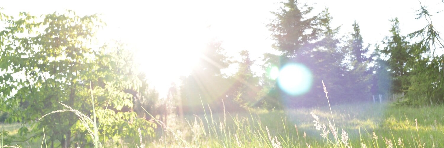 emiashworth's profile banner image