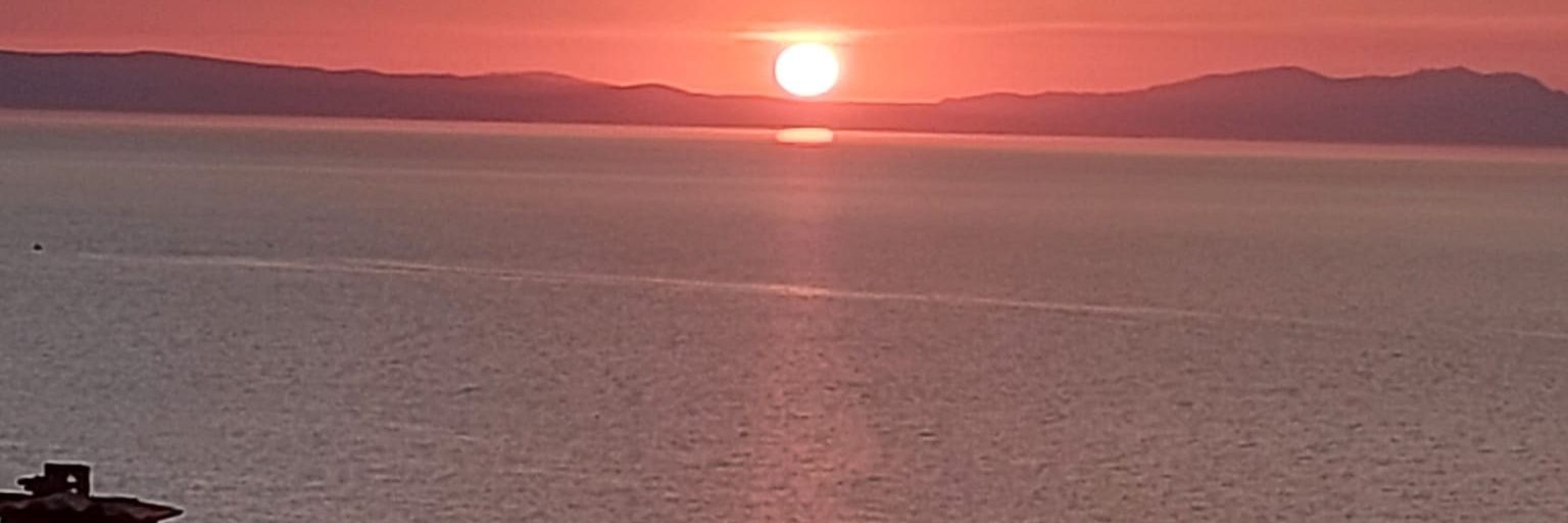TanismanOrhan's profile banner image
