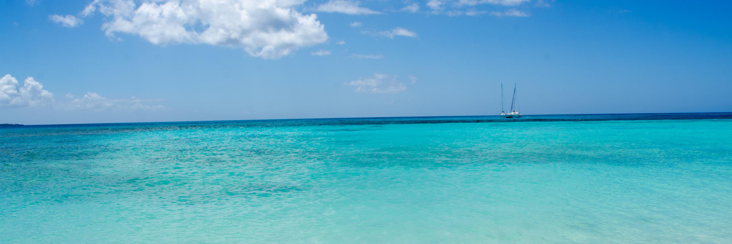 MartaFederici's profile banner image