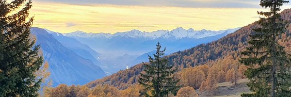 freesylex Profile Banner