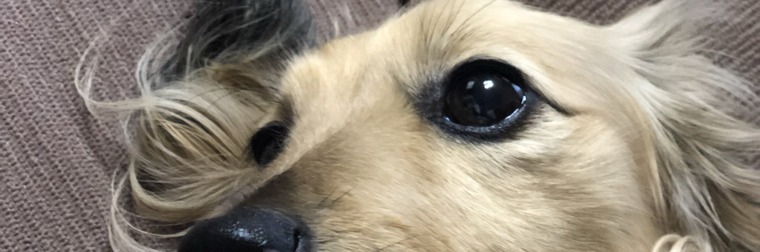 so__ra0924's profile banner image