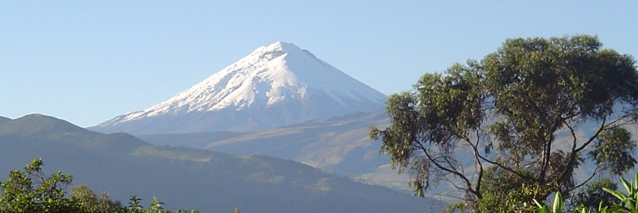 WarrenHowlett's profile banner image
