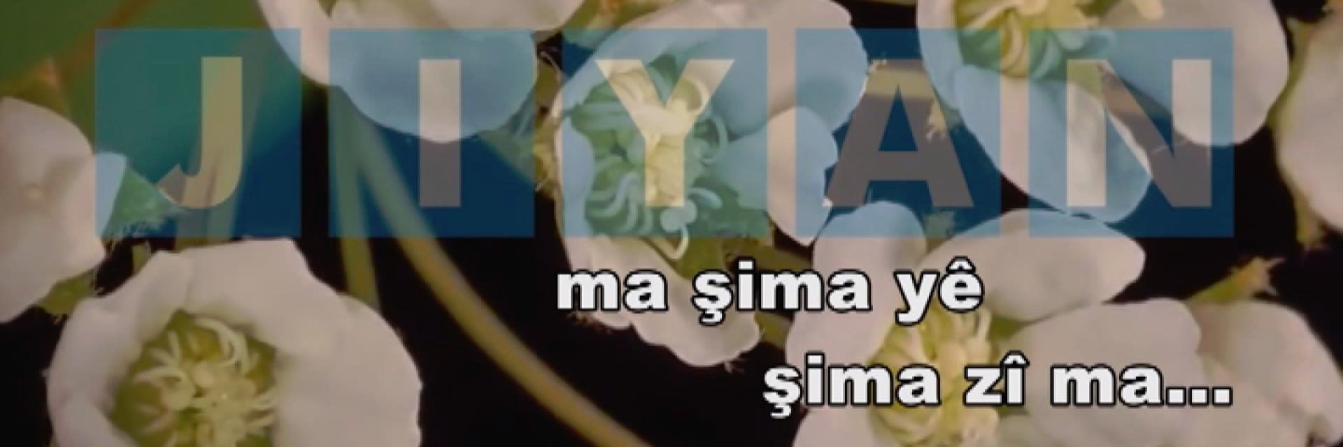 jiyan_tv's profile banner image