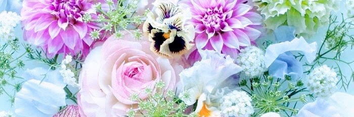ruruvruru's profile banner image