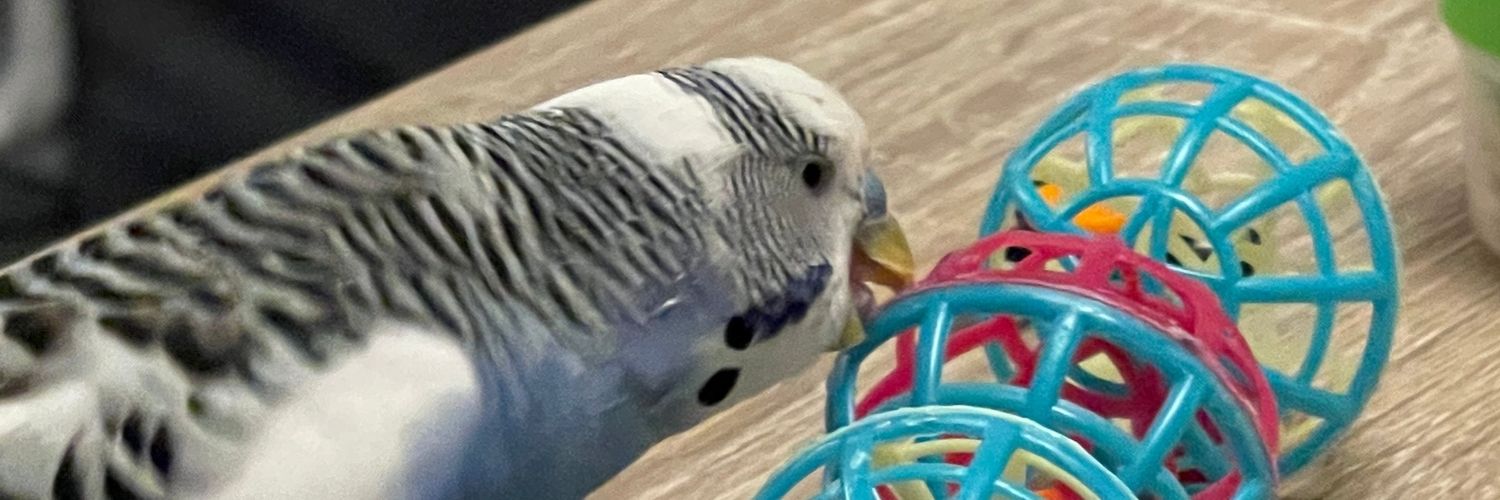 JADENWDN's profile banner image