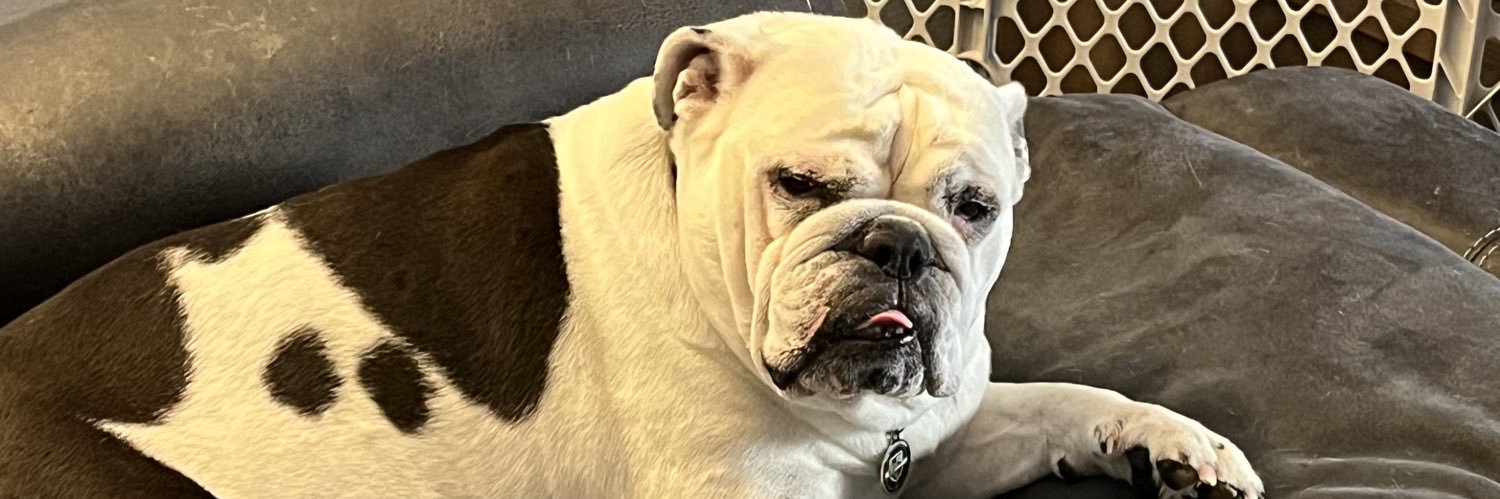 Eric Wallenberg banner