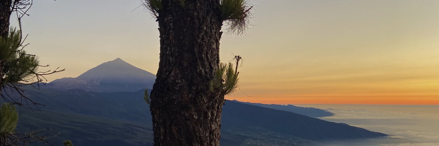 capucine_mch's profile banner image