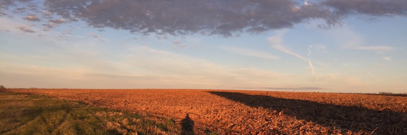 leslielharrison's profile banner image