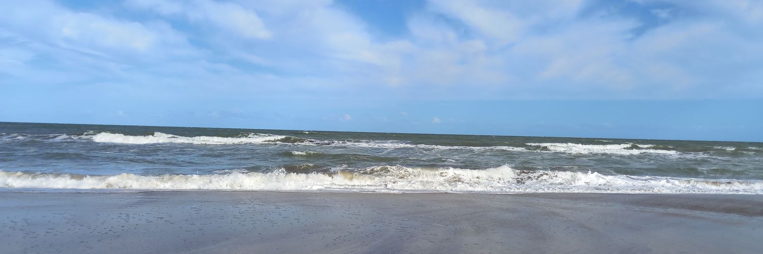 OlZenSoft's profile banner image