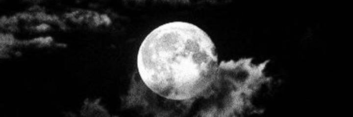 MabelApodaca's profile banner image