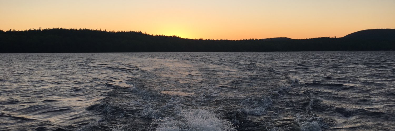 Dolly Sullivan banner