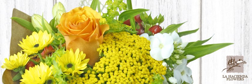 LHFlowers's profile banner image