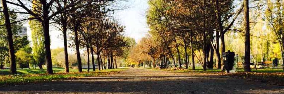 samuletti's profile banner image
