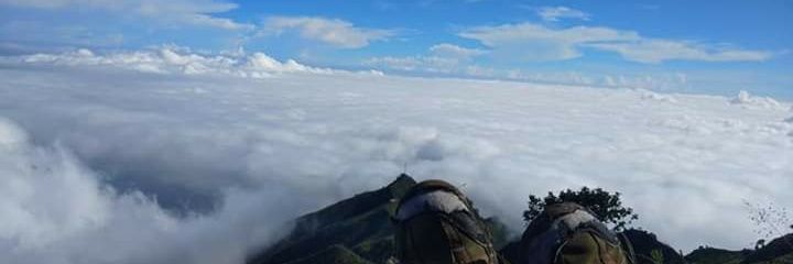 perezolivera10's profile banner image