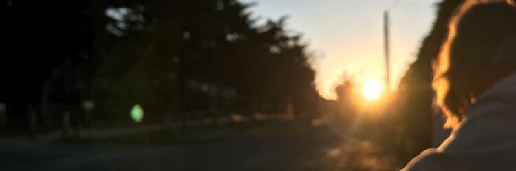marionbdrd's profile banner image
