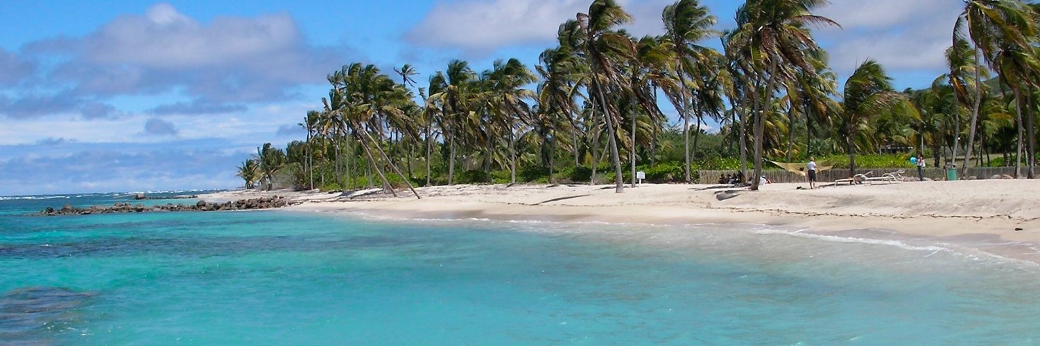 Kish Wilkinson banner