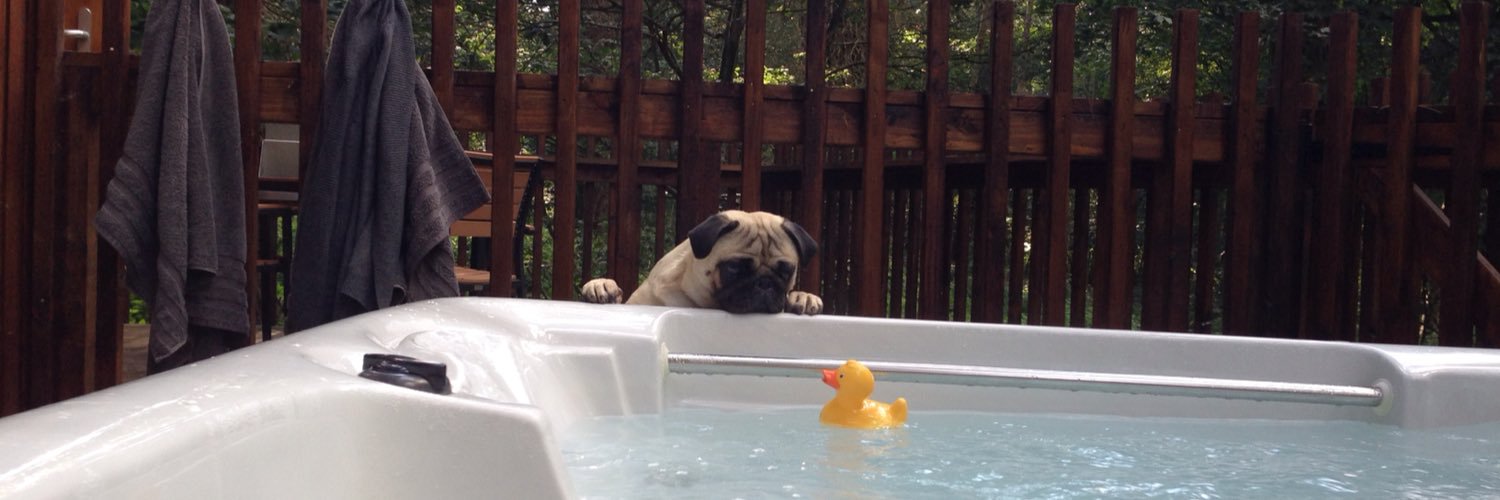 Ronnie_Pug's profile banner image