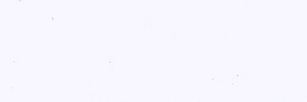 flvtw Profile Banner