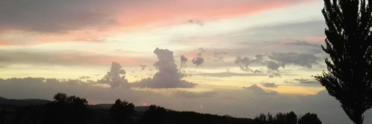 Olgapardosr's profile banner image