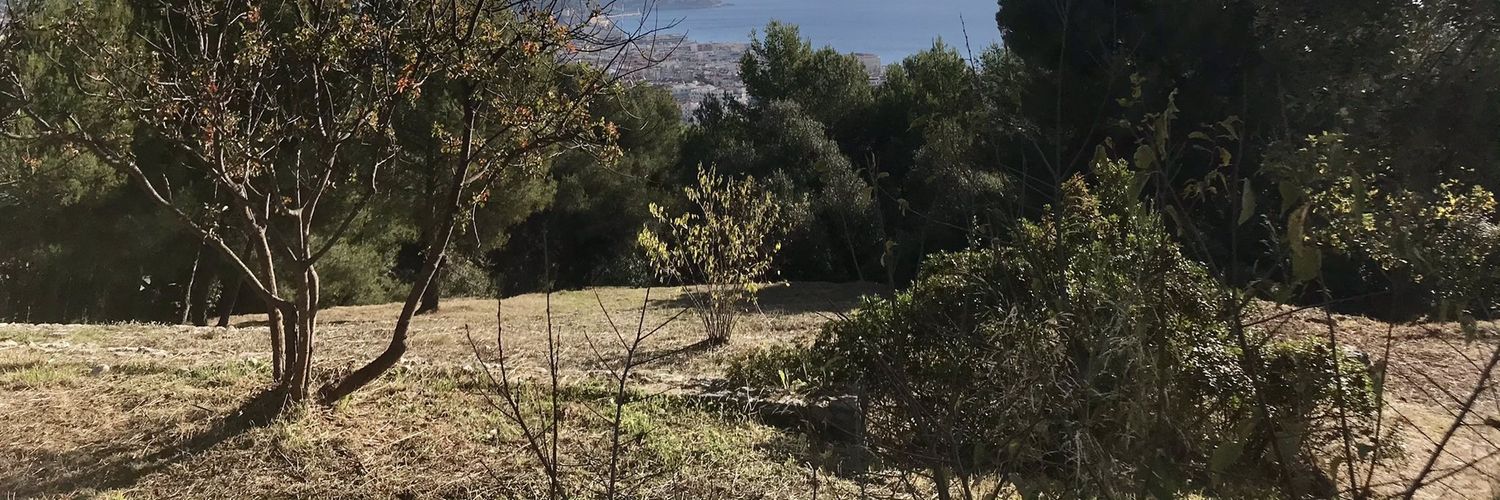 schmitgustave's profile banner image