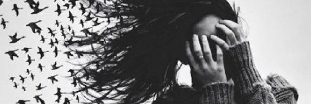 Pur_Xandi's profile banner image