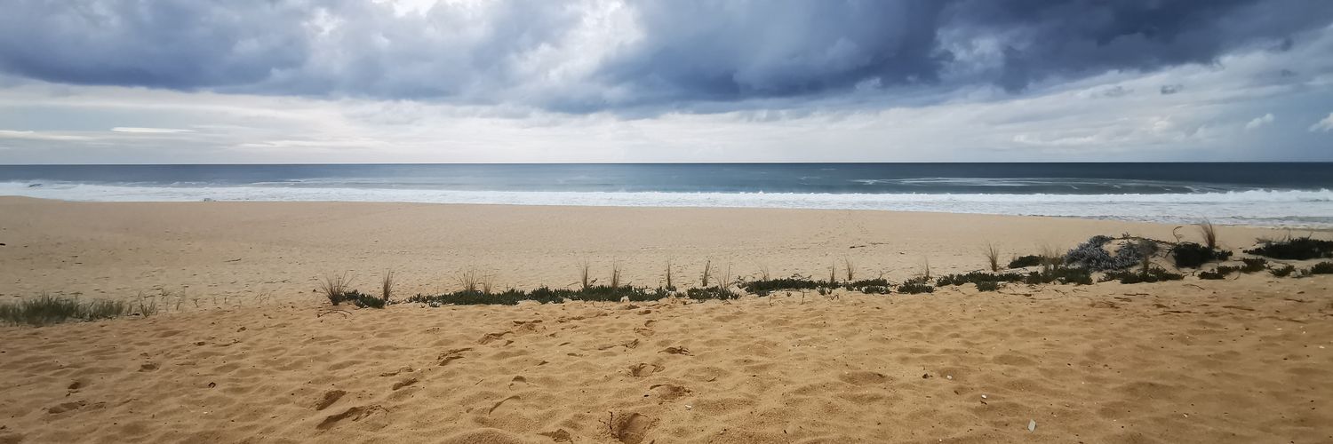 B_wild_H's profile banner image