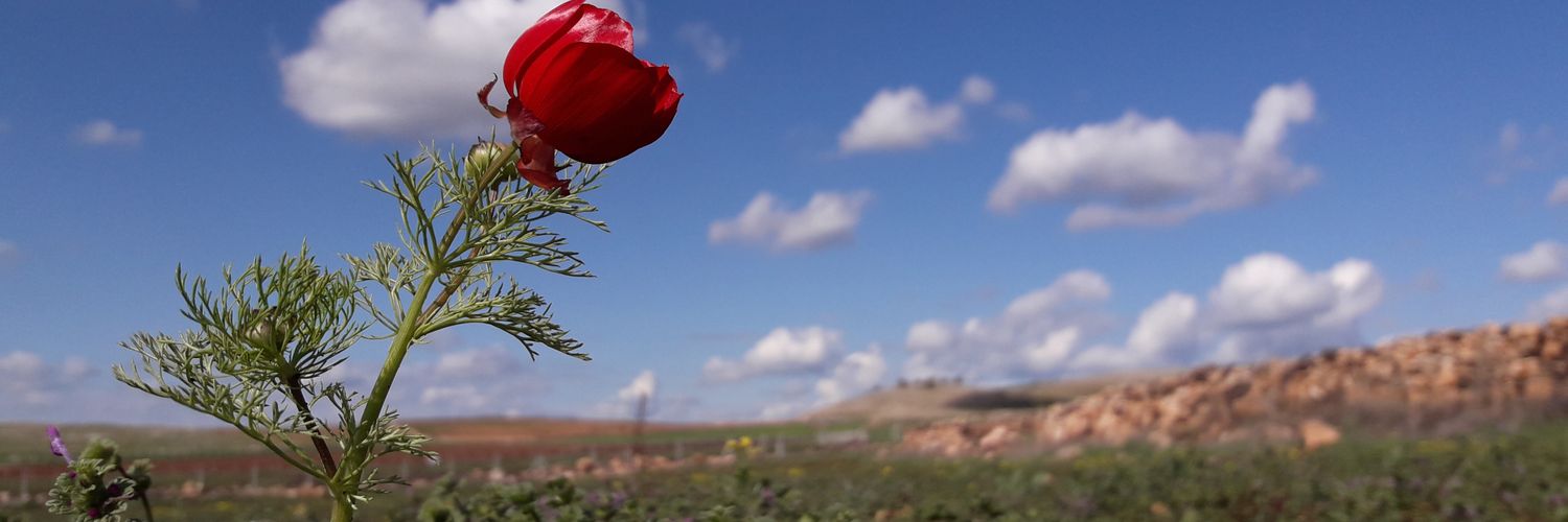 hasimkirgin63's profile banner image