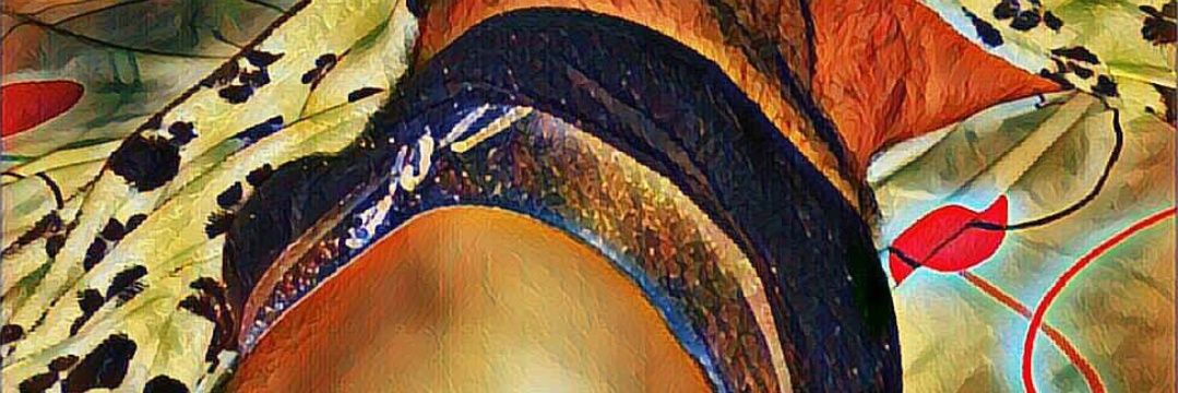 R01R33's profile banner image