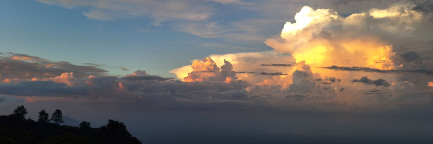 𝑪𝒂𝒓𝒐𝒍𝒊𝒏𝒆𝒆𝒆✨️🦋 banner