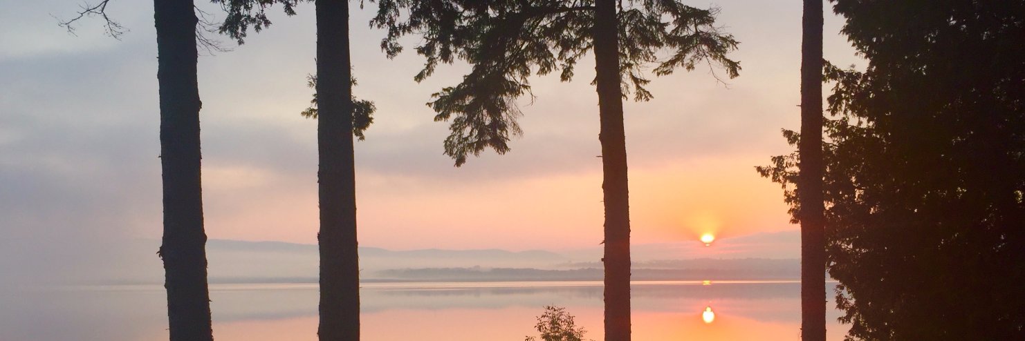 DaniellePatry's profile banner image