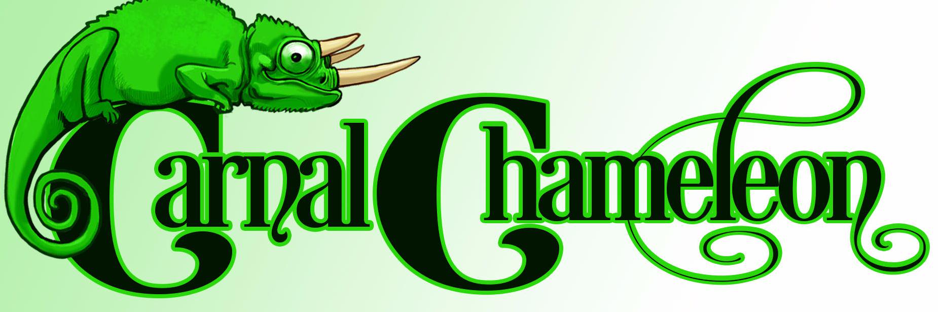 RandyChameleon's profile banner image