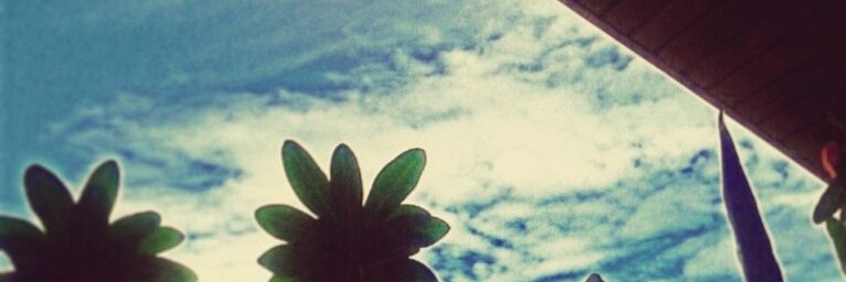EthiPretty's profile banner image