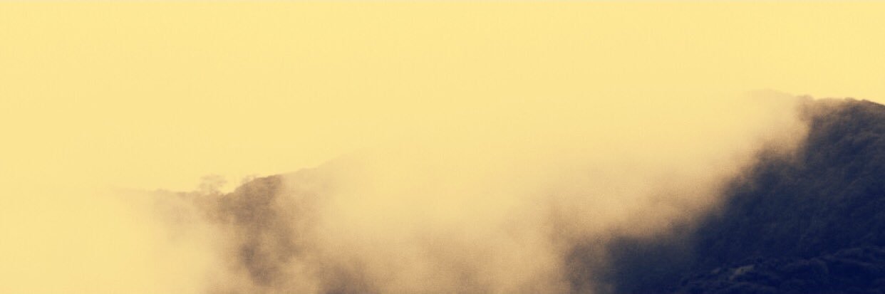 PApilots's profile banner image