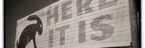 DarkGreenTree's profile banner image