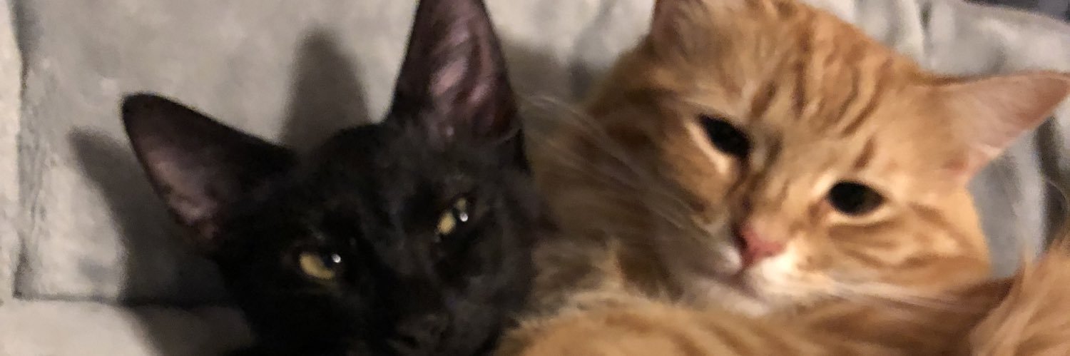 MaLadySadie's profile banner image