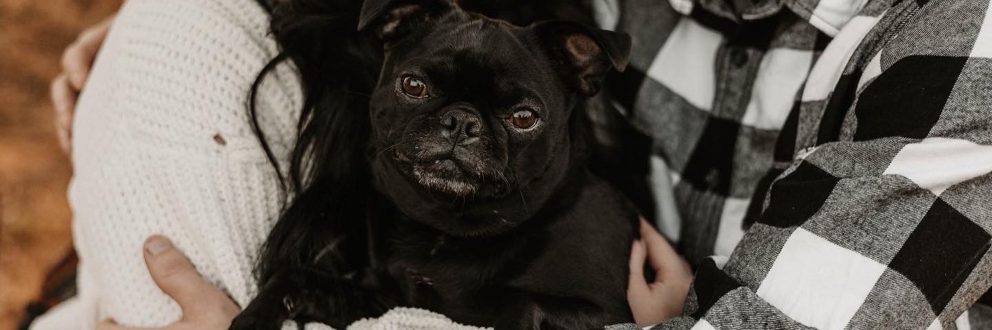 sonnyrae33's profile banner image
