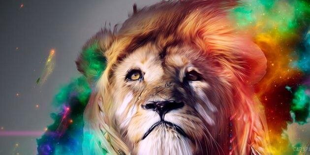 RJeuniker's profile banner image